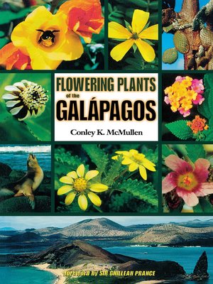 cover image of Flowering Plants of the Galápagos